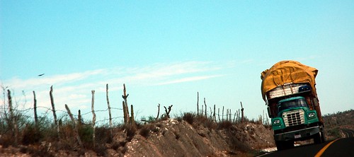Truck hauling stuff long distance, fenced desert, bird on the wing, Baja, Mexico by Wonderlane
