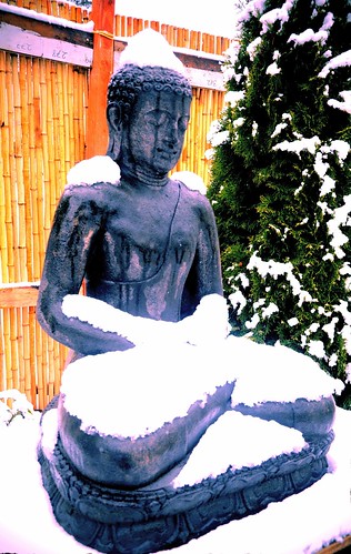 Covered in snow, natural ushnisha, a concrete statue of Amitabha Buddha, the brave lion among men, meditating, bamboo fence, tree, drips of water, lotus base, A Garden for the Buddha, Seattle, Washington, USA by Wonderlane
