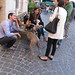 Dogs Rome 2013 10