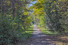 Bruce Trail - Caledon East