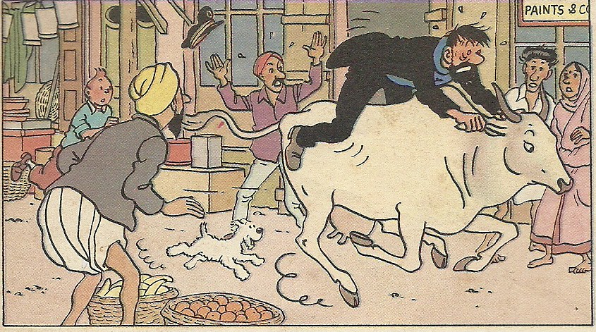 City Books – Tintin in Delhi, Around Town