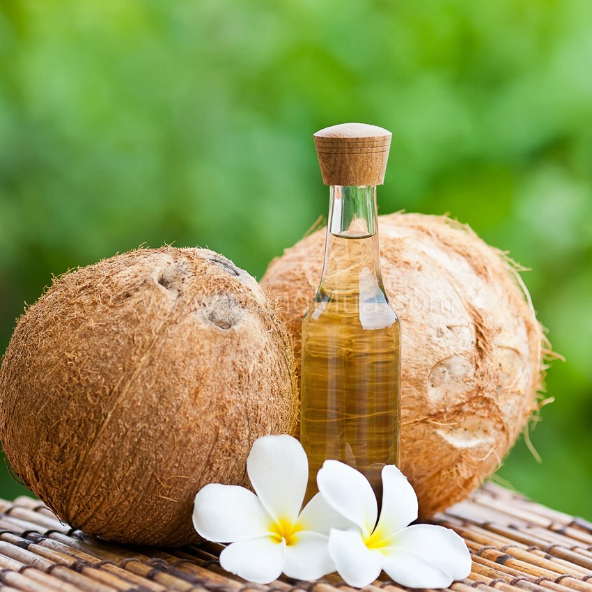 HANASHOP - Bán tinh dầu dừa nguyên chất dưỡng da,tóc,móng tay giá SIÊU RẺ NHẤT 5S - 22