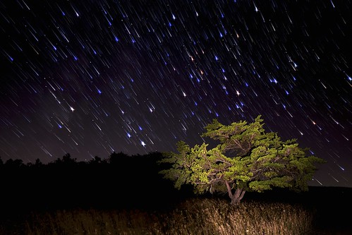 Star light, Star bright...many wishes tonight! by Schmoopy2007