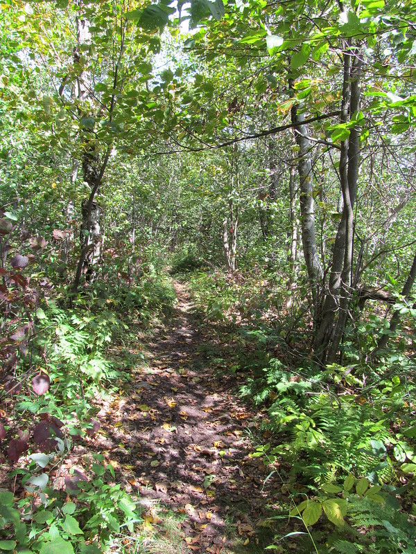 Approach trail