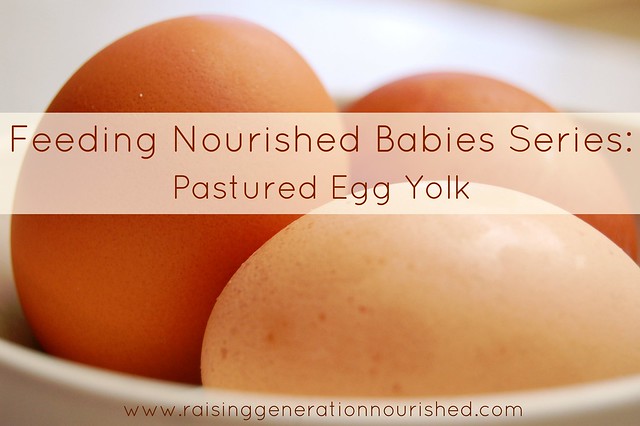 Feeding Nourished Babies Series :: Pastured Egg Yolk