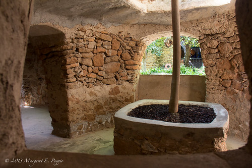 Square Planter Anchors the Waterfall Feature at Forestiere Underground Gardens