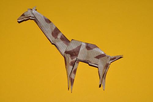 275 - Giraffe