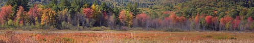 2013_1001Burnt-Meadow-Pano0001 by maineman152 (Lou)