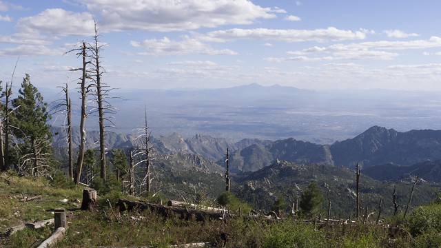 Tucscon from the top of Mount Lemmon (2791 m), Coronado National Forest
