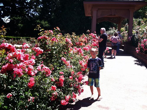 July 10 2013 Cal Rose Garden