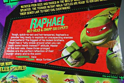 Nickelodeon Teenage Mutant Ninja Turtles