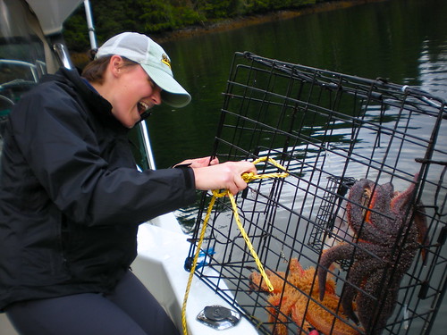 "Crabbing" in Ketchikan, Alaska