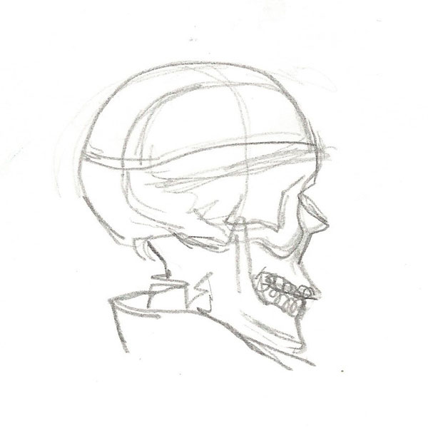 Skull_Sketch_05