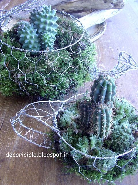 teiera e tazza cactus 4