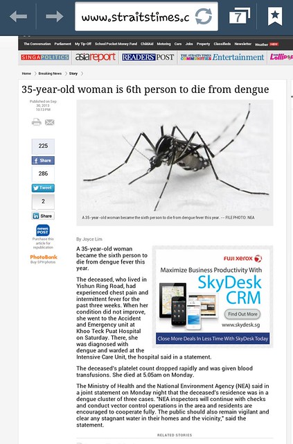 straits times article on women dying from dengue