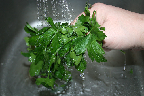 21 - Petersilie waschen / Wash parsley