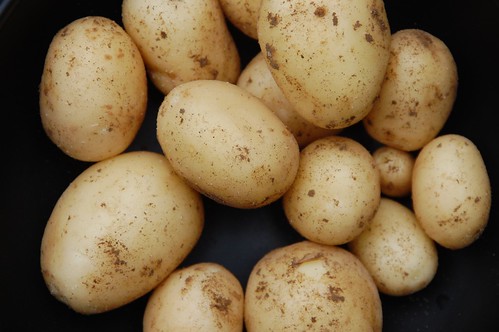 swift new potatoes
