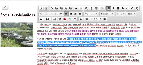 Front-end editing Rubedo