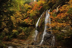 2012 Japan Day 16 Omoshiroyamakogen & Yamadera - 紅葉川溪谷(面白山高原) & 山寺