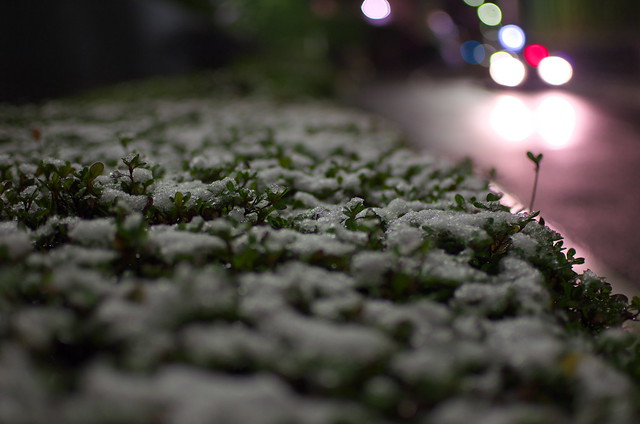 東京雪景色 snow day of Tokyo 2014年2月4日