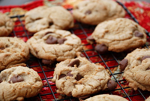 Browned Butter Chocolate Chip Cookies with Sea Salt