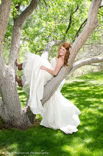 Bride in a Tree - Wedding Photography by Matt Halvorson
