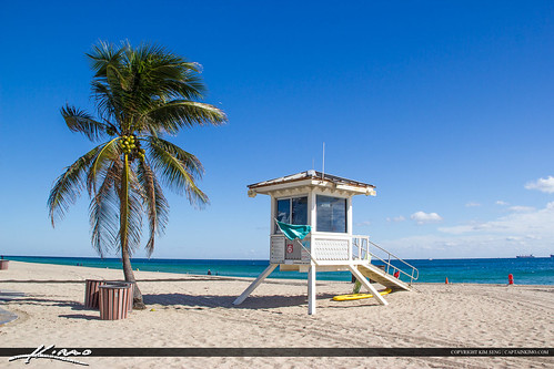 Fort Lauderdale Lifeguard Tower and Palm by KimSengPhotography