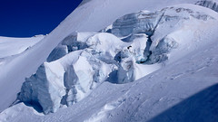 Seraki na lodowcu Vedretta di Cedec - zjazd z Monte Pasqualle (3553m) do schroniska Pizzini Frattola.