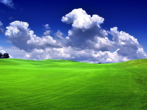 Green grass Blue sky cloud sketches of nature wallpapers