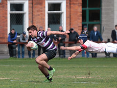 Rugby Shots