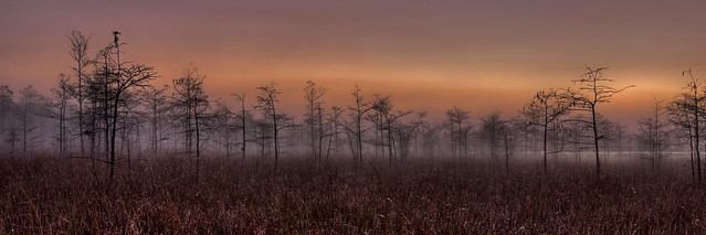 Dew in the morning, NPSphoto, G.Gardner