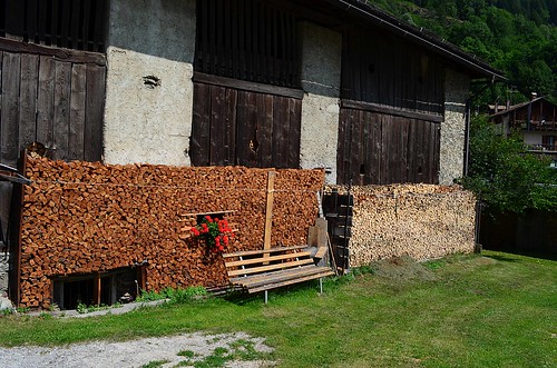 Stacking wood in Trentino