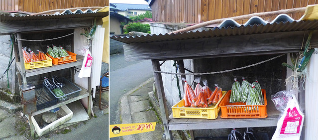 Hiking Mt. Nabewari - day trip from Tokyo - vegetable stalls