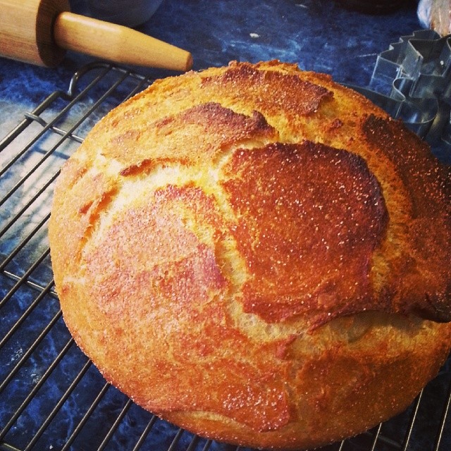 Portuguese-American Yeasted Cornbread is finished. #breadmaking #bread