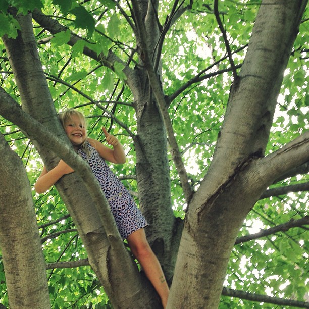 Learned how to climb trees = successful summer 