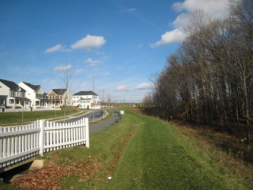 Image of a grass swale next to a row of townhomes.