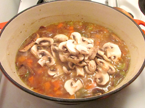 The Best Barley, Lentil and Mushroom Soup