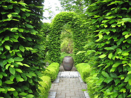 Carpinus hedge and arbor with container focal point