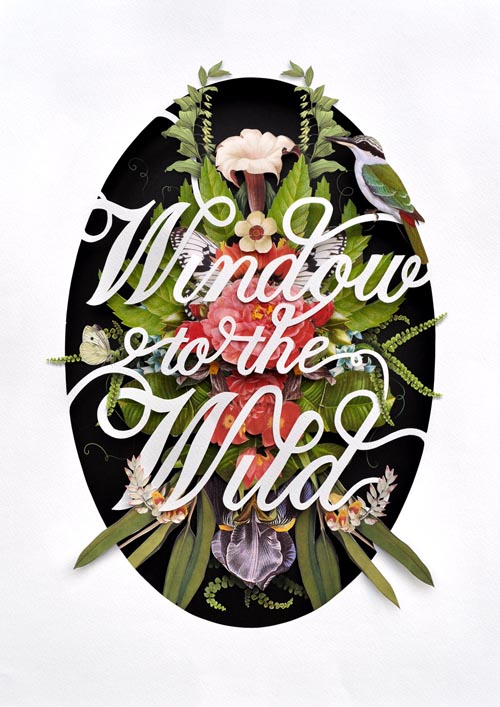 windowtothewild1_poster by Ciara