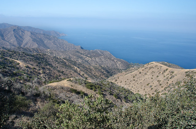 Catalina Island's undeveloped coastline