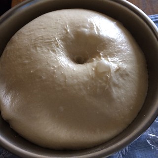 山型食パン2　一次発酵後