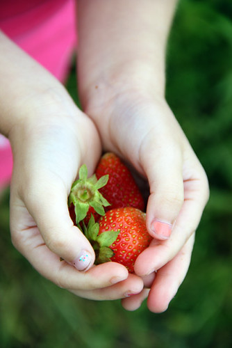 Auttie_Closeup-Strawberries-in-hands