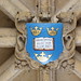 Oxford: Bodleain Library - Coat of Arms on Ceiling