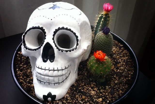 Sugar Skull & Cactus