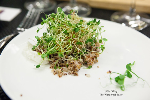 Toasted grain salad with labne and sprouts