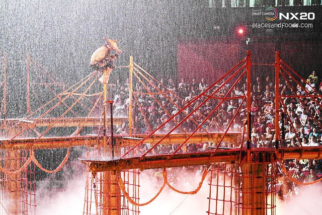 the house of dancing waters raining chinese man