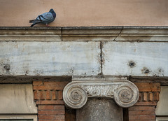 enjoying a bird's eye view near the Fontana di Trevi - Rome