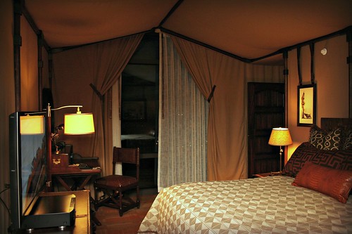Adventureland Suite guest bedroom