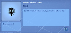 Wide Leafless Tree