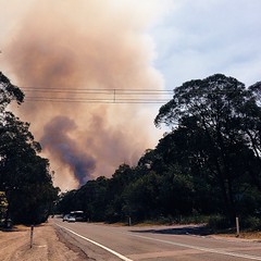 #winmalee #nswfire #nswfires